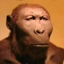 monke_seriously monke_seriously