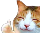 thumbsup_cat_happy