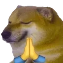 DogePray
