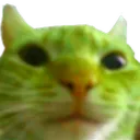 greencat