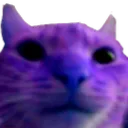 purplecat
