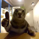 goob_so_approval