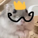 mustachecanta