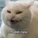 remix33d97c0a41284e99be57572a959 Discord Emoji