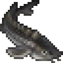 Sturgeon