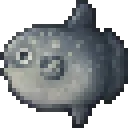 oceanSunfish