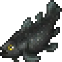 Coelacanth