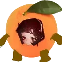 SS_schneider0