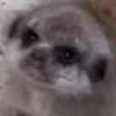 wadaaaa