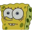 SDSspongeOhNo