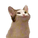 SS_popcat