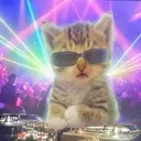 djgato