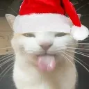 blehmas