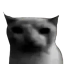 bruh_darkcat