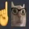 5bcatnerd