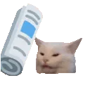 catbonk
