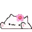 bongocatflower bongocatflower