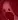 wormleechangry