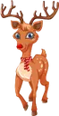 Reindeer