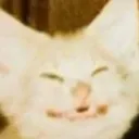 huehuehue