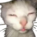 CatGoofy