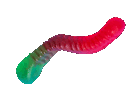 4worm