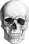 Skull Skull