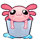 axolbucket