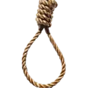 noose