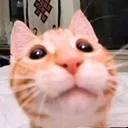 2 Hehe Discord Emoji