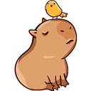 capybara