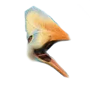 emoji_36