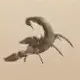 nowheresthestinger nowheresthestinger
