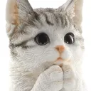 Cute