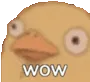 PRXduckwowpog