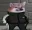 IA_Dogesweg