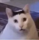 huh