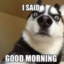 MfGoodMorning