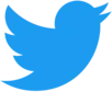 social_twitter
