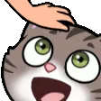 cohhPats