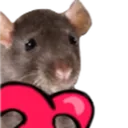rat_loves
