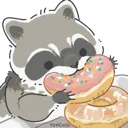 donutyum_raccoon