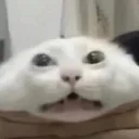 whenigetmyhandsonyou whenigetmyhandsonyou