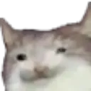 radfarb