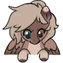 Untitled383_20231211172831