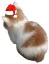 angy_xmas