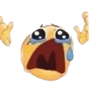 8decrynowhy 8decrynowhy