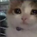 emoji_141