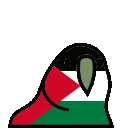 2434_palestineparrot