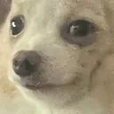 halp